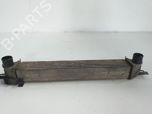 Intercooler FIAT FIORINO Box Body/MPV (225_) 1.3 D Multijet (225BXD1A, 225BXB1A, 225BXB11) | BP15762286M30 