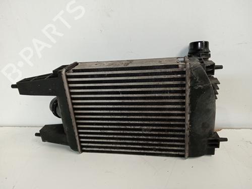 Intercooler NISSAN PULSAR Hatchback (C13) 1.2 DIG-T | BP18346541M30 