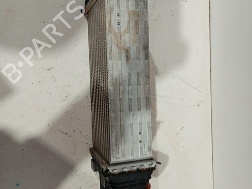 Intercooler CITROËN C3 III (SX)  | BP32292964M30 