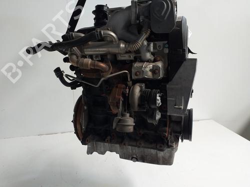 Used Engine SEAT IBIZA III (6L1) [2002-2009]  18472916