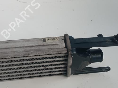 Intercooler FIAT PUNTO EVO (199_) 1.3 D Multijet (199AXC1A, 199BXC1A, 199AXT1A, 199BXT1A) | BP15897396M30 