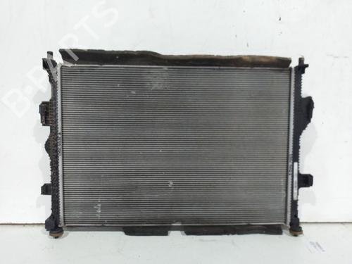 Water radiator FORD PUMA (J2K, CF7)  | BP29533196M31 