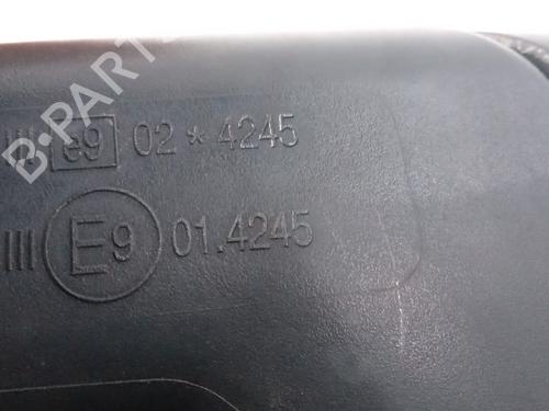 Left mirror VW POLO (9N_, 9A_) 1.4 16V | BP16066336C26 