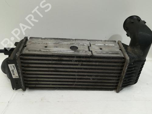 Intercooler PEUGEOT 406 (8B) 2.0 HDI 110 | BP16469013M30 