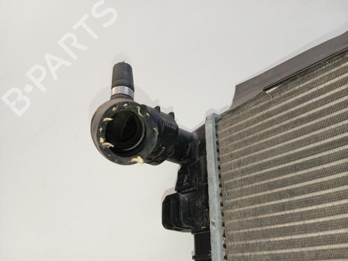 Water radiator VW GOLF VIII (CD1, DA1) | BP38411221M31 - Image 2