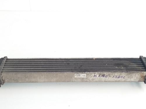 Intercooler MERCEDES-BENZ A-CLASS (W169)  | BP10666530M30 