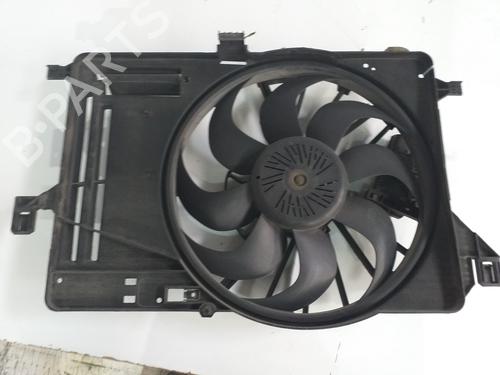 Radiator fan FORD C-MAX II (DXA/CB7, DXA/CEU)  | BP22190424M35 