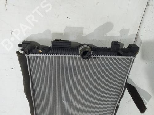 Water radiator FORD PUMA (J2K, CF7)  | BP29533196M31 