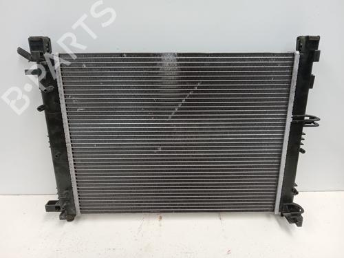 water-radiator-dacia-lodgy-js_-2012-34628104 main image