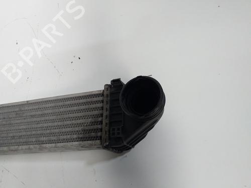 Intercooler MERCEDES-BENZ B-CLASS Sports Tourer (W245) B 180 CDI (245.207) | BP15518993M30 