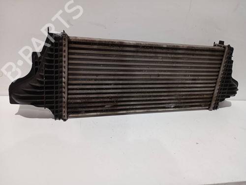 Intercooler MERCEDES-BENZ M-CLASS (W164) | BP39236784M30 - Image 4