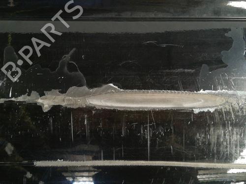 Rear bumper AUDI A8 D3 (4E2, 4E8) 3.0 TDI quattro | BP9356542C8 