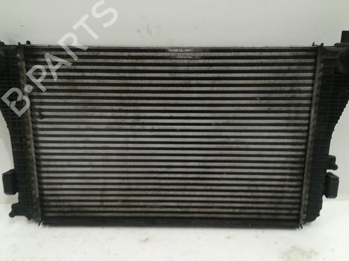 Intercooler AUDI A3 (8P1) 2.0 TDI 16V (140 hp) 16919297