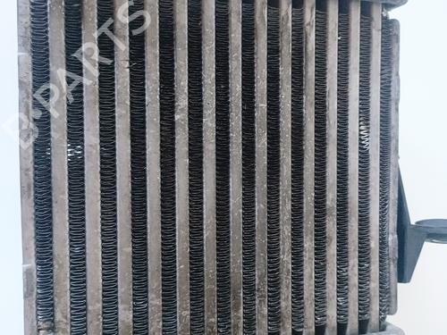 Intercooler SEAT IBIZA III (6L1)  | BP17090042M30 