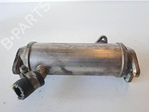 Egr BMW 3 (E46) 320 d | BP25798484M69