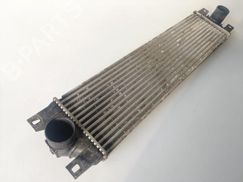 Intercooler NISSAN INTERSTAR Van (X70) | BP13391051M30