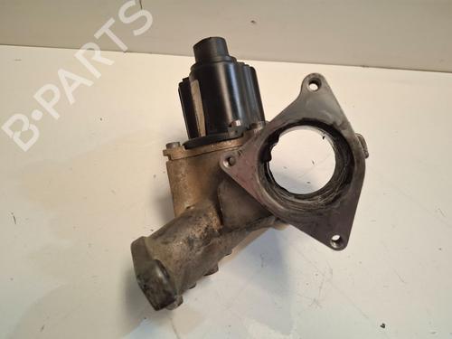 Egr VW CADDY III Box Body/MPV (2KA, 2KH, 2CA, 2CH) 1.9 TDI | BP29547852M69