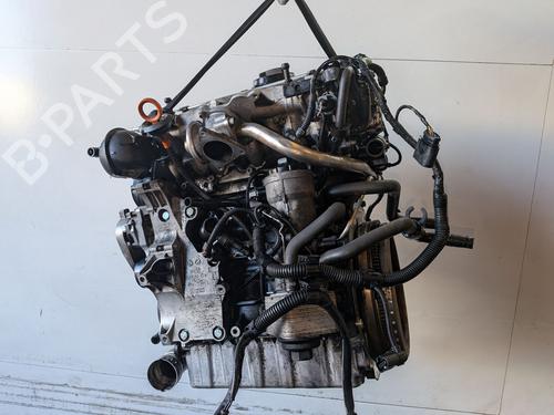 Motor VW TOURAN (1T1, 1T2) [2003-2011]  31794966