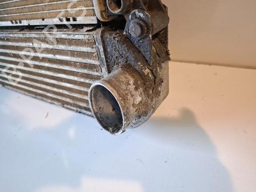 Intercooler LAND ROVER DISCOVERY III (L319)  | BP29549643M30 