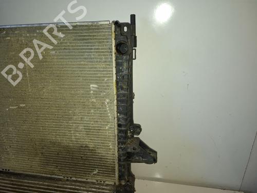 Water radiator LAND ROVER DISCOVERY III (L319)  | BP29508553M31 