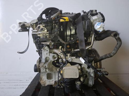 Used Engine RENAULT EXPRESS Box Body/MPV [2021-2025]  29547862