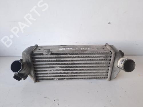 Used Intercooler HYUNDAI i20 I (PB, PBT) [2008-2015]  30625778