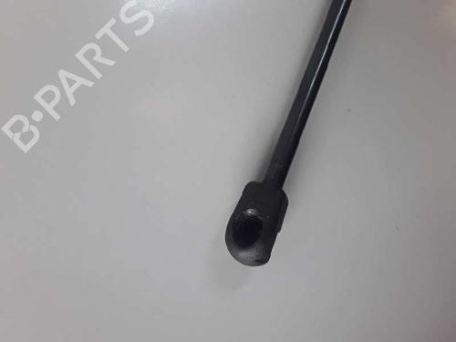 Hood lift support SEAT LEON (1M1)  | BP14305067C139 