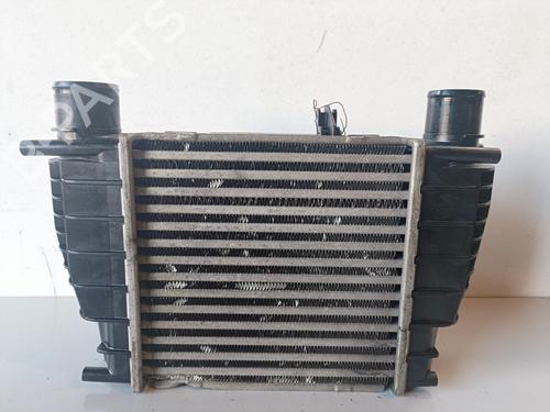 Intercooler RENAULT CLIO III (BR0/1, CR0/1) 1.5 dCi (BR17, CR17) | BP11973513M30