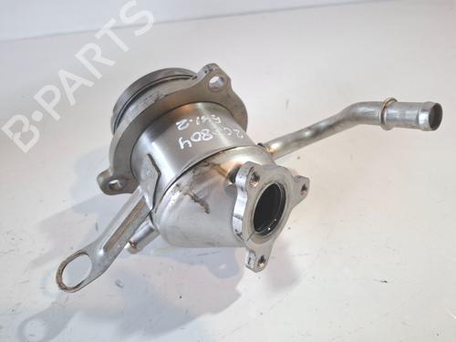 Egr RENAULT EXPRESS Box Body/MPV  | BP29547865M69 