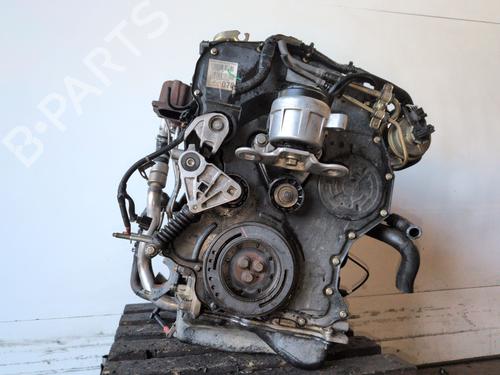Engine FORD MONDEO III (B5Y)  | BP33005303M1  - Image 5