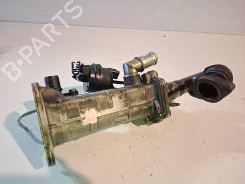 Egr LAND ROVER FREELANDER 2 (L359)  | BP29549673M69 
