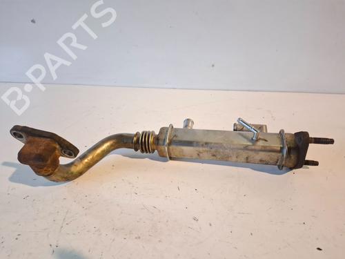 Egr NISSAN X-TRAIL I (T30)  | BP30688060M69 