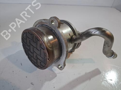 Egr RENAULT EXPRESS Box Body/MPV  | BP29547865M69 