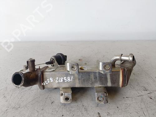 Egr NISSAN X-TRAIL II (T31)  | BP14305466M69 