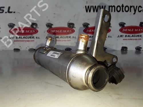 Egr FIAT DOBLO Box Body/MPV (223_) 1.9 JTD | BP14305003M69 