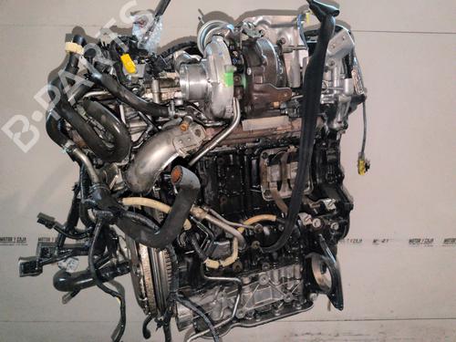 Engine RENAULT KOLEOS I (HY_) 2.0 dCi (HY0K) | BP36476291M1 - Image 4