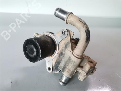 Egr DACIA DOKKER MPV (KE_)  | BP9905873M69 