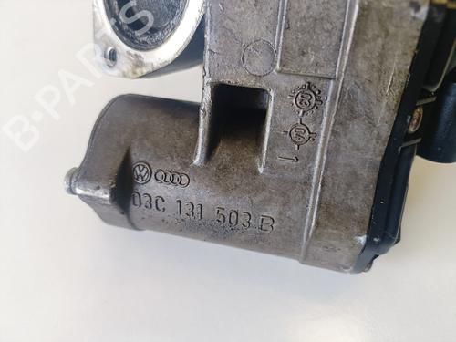 EGR-Ventil VW GOLF V (1K1)  | BP13374313M69 