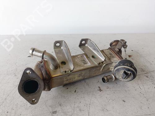 Egr NISSAN X-TRAIL II (T31)  | BP14305466M69 