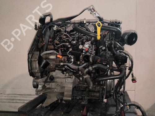 Motor FORD FOCUS II Saloon (DB_, FCH, DH) [2005-2026]  31382531