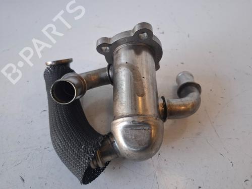 Egr FIAT FIORINO Box Body/MPV (225_) 1.3 D Multijet (225BXD1A, 225BXB1A, 225BXB11) | BP29906601M69