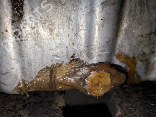 Engine SEAT TOLEDO III (5P2)  | BP32263624M1 