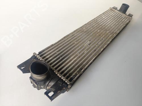 Intercooler NISSAN INTERSTAR Van (X70) | BP13391051M30