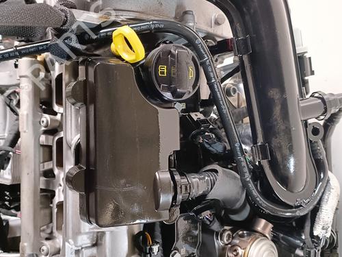 Engine VW POLO VI (AW1, BZ1, AE1) 1.0 TSI | BP11991550M1 