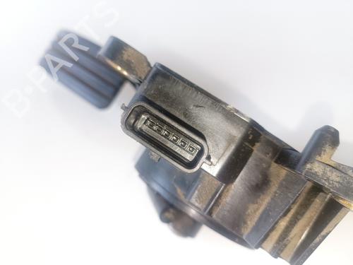 Pedal RENAULT MEGANE II (BM0/1_, CM0/1_)  | BP16111562I4 