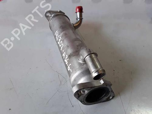 Egr FIAT DUCATO Bus (230_)  | BP14304984M69 
