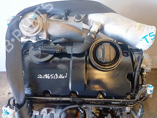 Engine VW GOLF IV (1J1) 1.9 TDI | BP14995094M1 