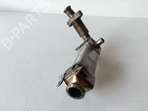 Egr BMW 5 (E60) 525 d | BP22232886M69 