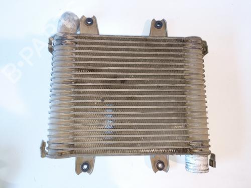 Intercooler KIA CARNIVAL II (GQ) 2.9 CRDi | BP16489226M30 