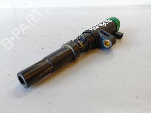Ignition coil RENAULT MEGANE II (BM0/1_, CM0/1_) 1.4 16V (BM0B, CM0B) | BP11827803M94 